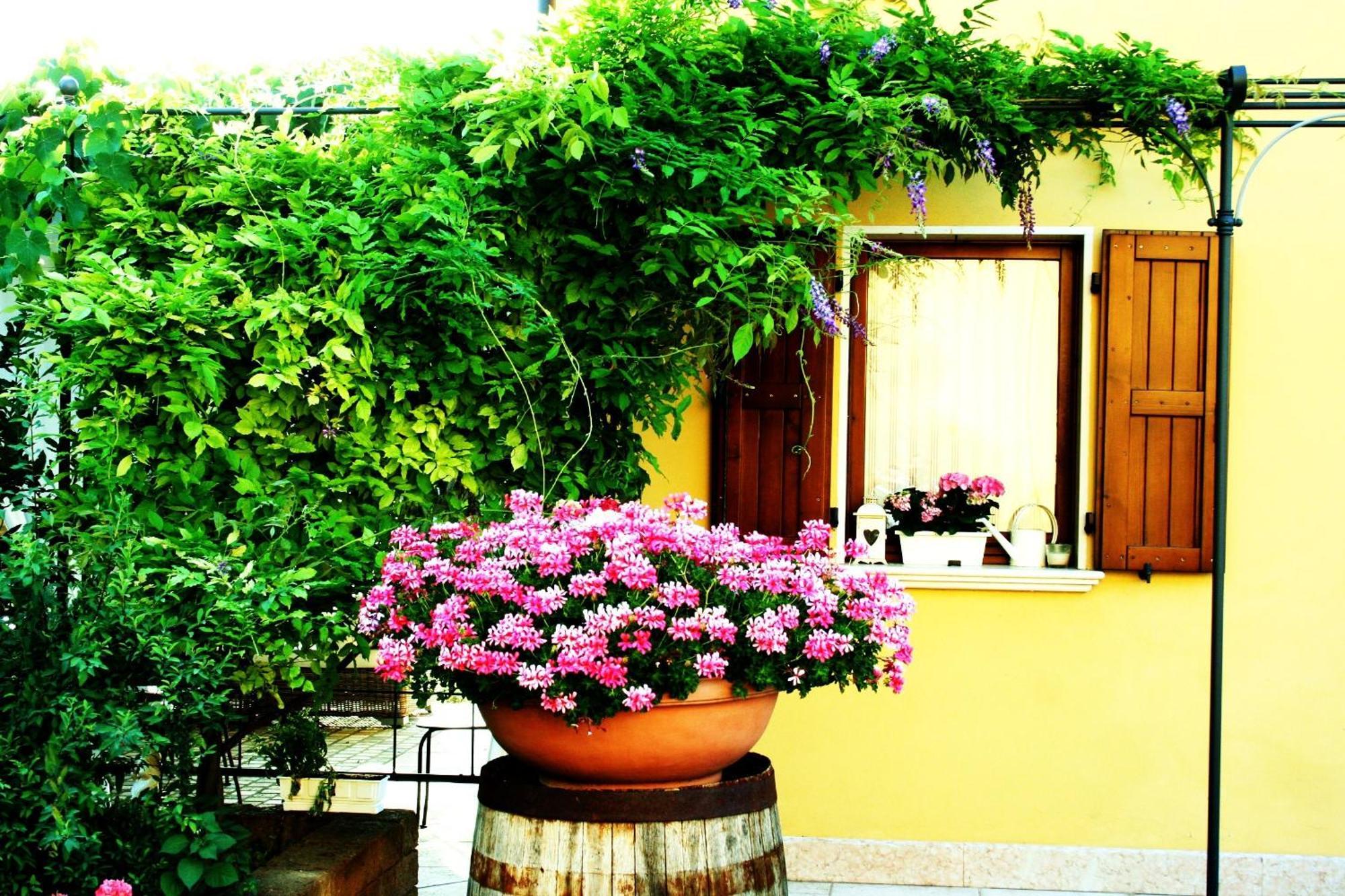 Agriturismo Ca Nuova Minerbio Exterior foto