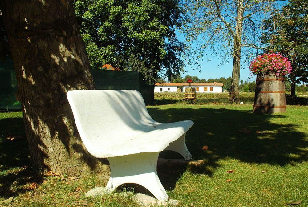 Agriturismo Ca Nuova Minerbio Exterior foto